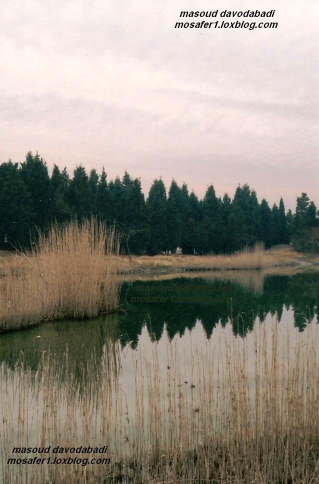 پاییز